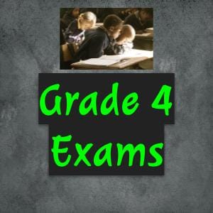 Grade 4 Exams