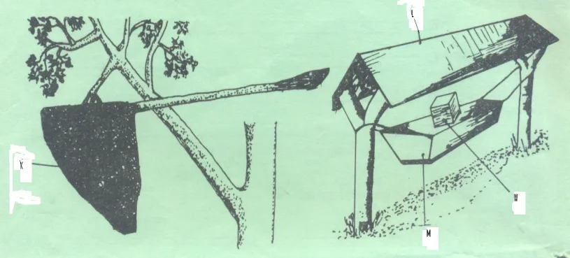 Understanding Beekeeping: Key Components and Factors Affecting Honey Quality